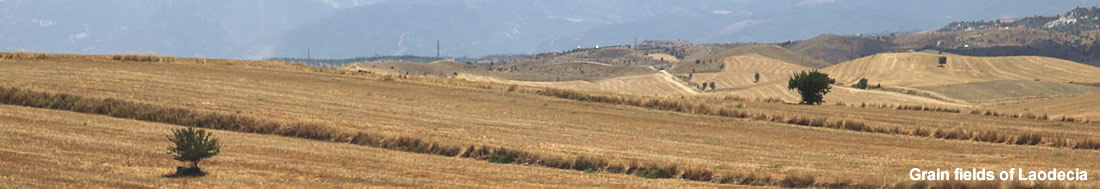 Grain fields, Laodecia, Turkey Grain fields, Laodecia, Turkey